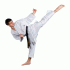 Kaiten New Dynamic